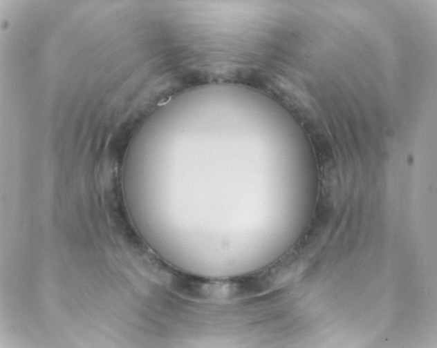 X0000088840225200706281829