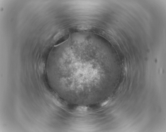 X0000088840227200706281829