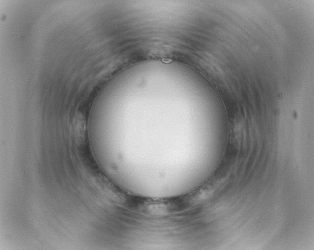 X0000088840228200706281829