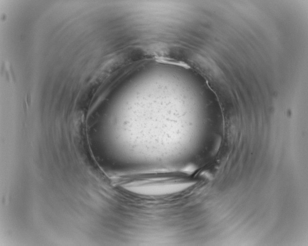 X0000088840229200706281829