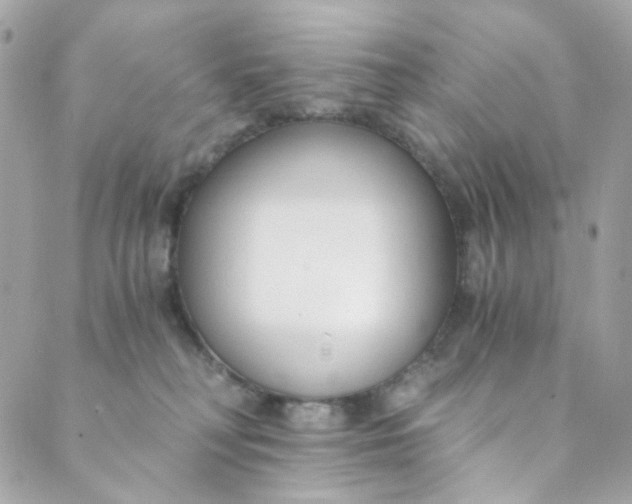 X0000088840230200706281829