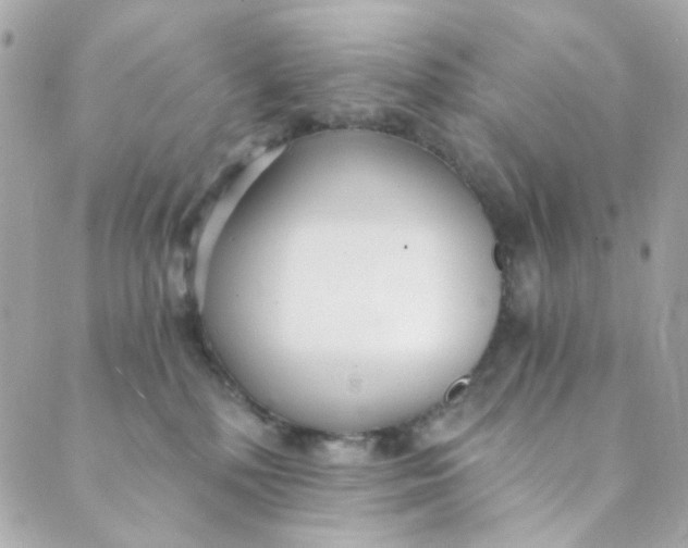 X0000088840232200706281829