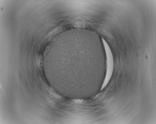 X0000088840233200706281829