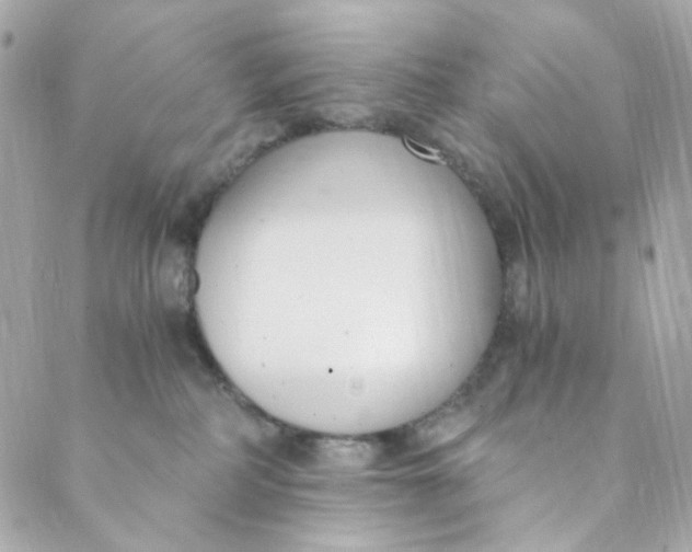 X0000088840234200706281829