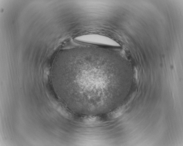 X0000088840235200706281829