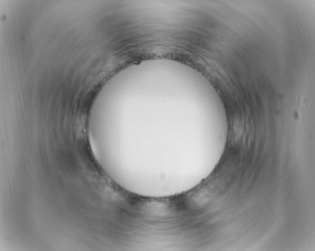 X0000088840236200706281829