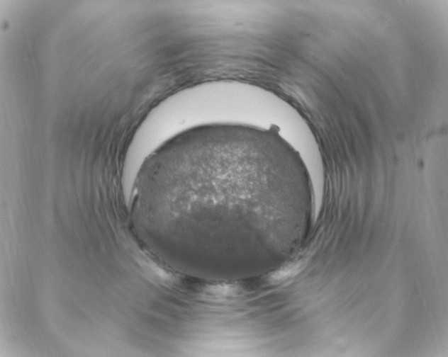 X0000088840237200706281829