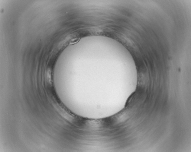 X0000088840238200706281829