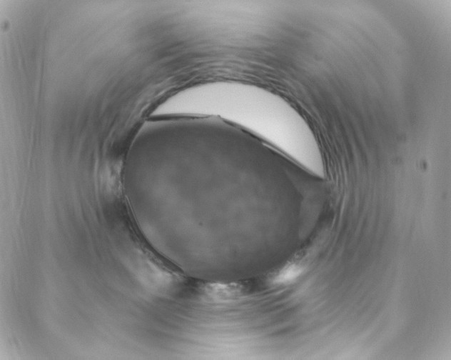 X0000088840239200706281829