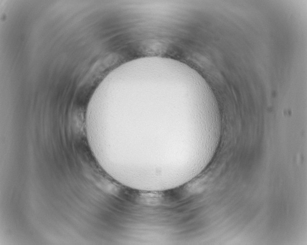 X0000088840240200706281829