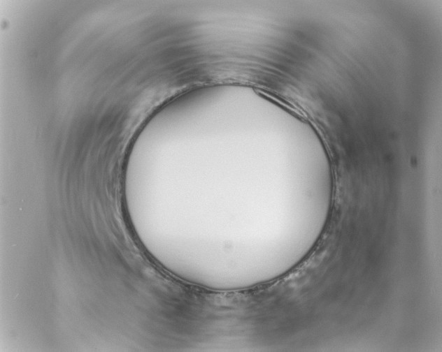 X0000088840241200706281828