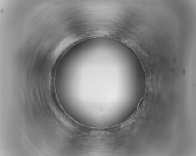 X0000088840242200706281828