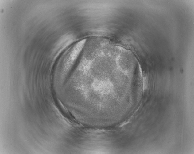 X0000088840243200706281828