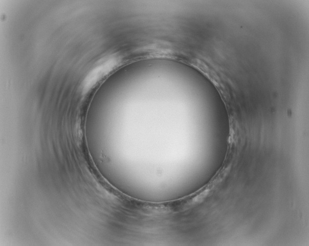 X0000088840245200706281828