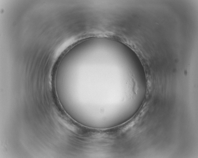 X0000088840246200706281828