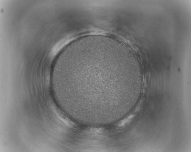 X0000088840247200706281828