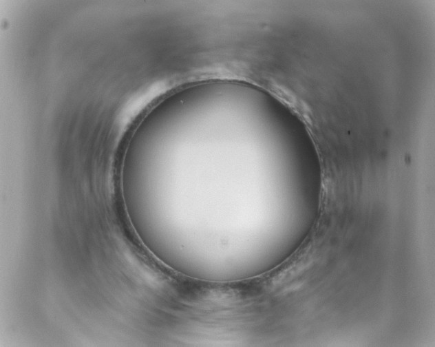 X0000088840248200706281828