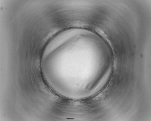 X0000088840249200706281828