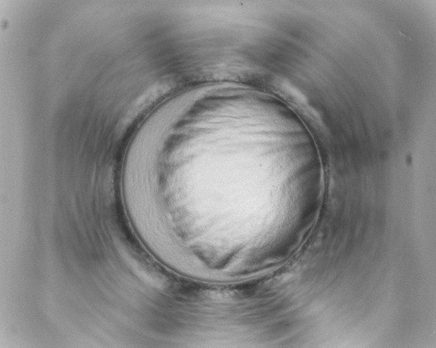 X0000088840250200706281828