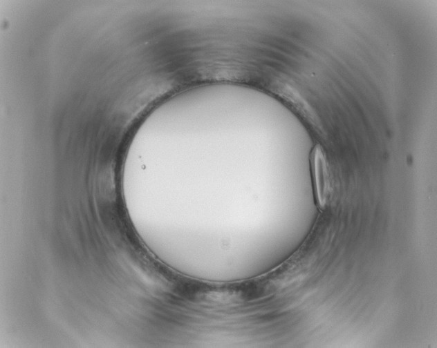 X0000088840251200706281828