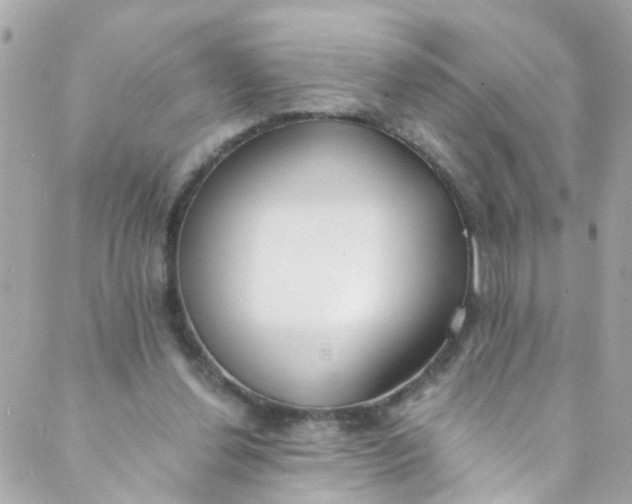 X0000088840252200706281828