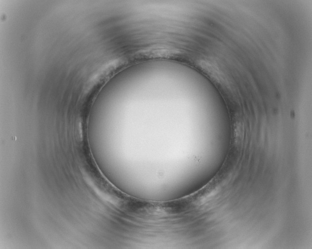 X0000088840254200706281829