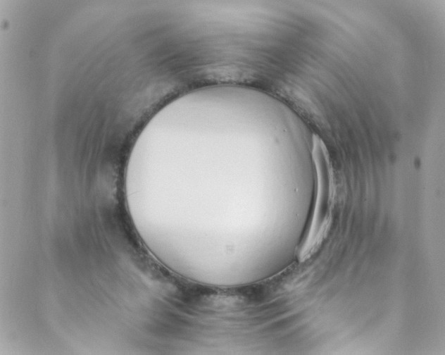 X0000088840255200706281829