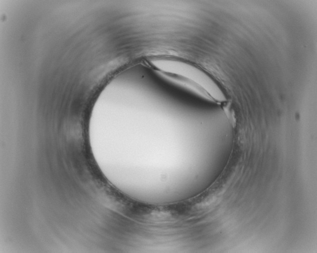 X0000088840256200706281829