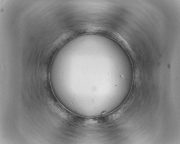 X0000088840257200706281829