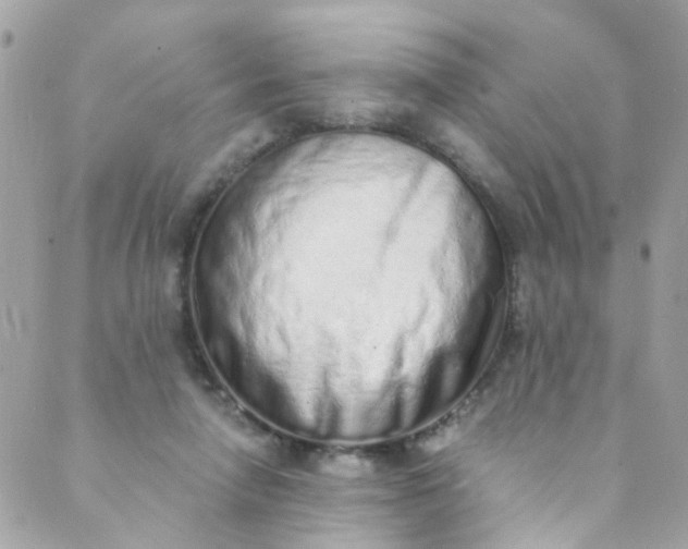 X0000088840258200706281829