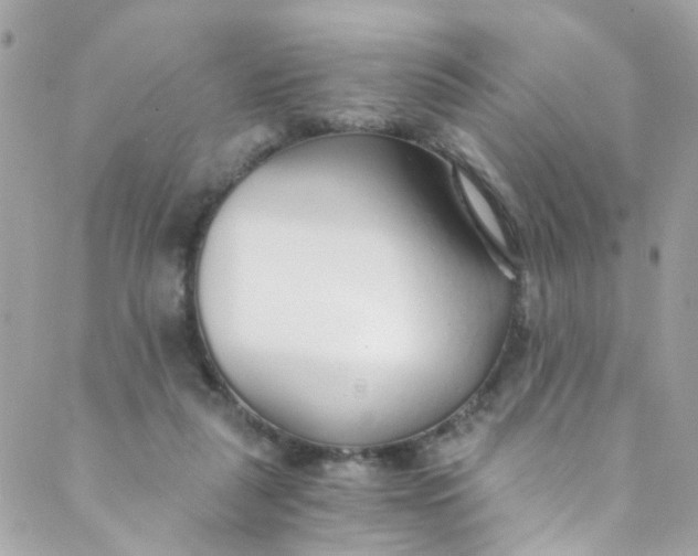 X0000088840259200706281829