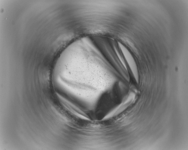 X0000088840260200706281829