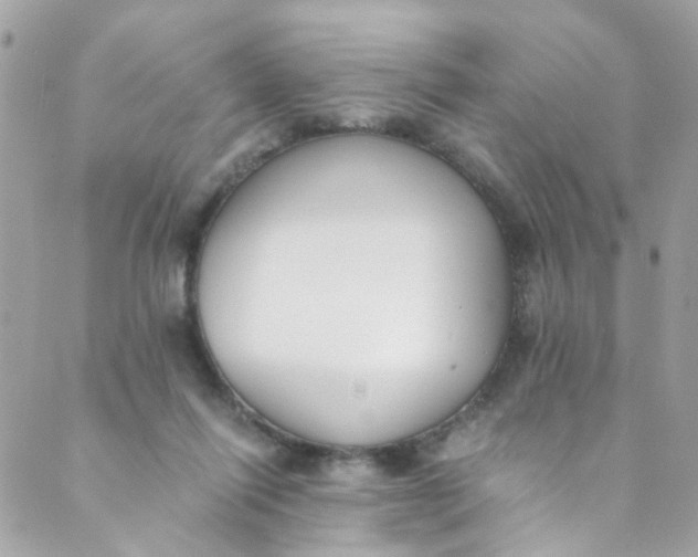 X0000088840262200706281829