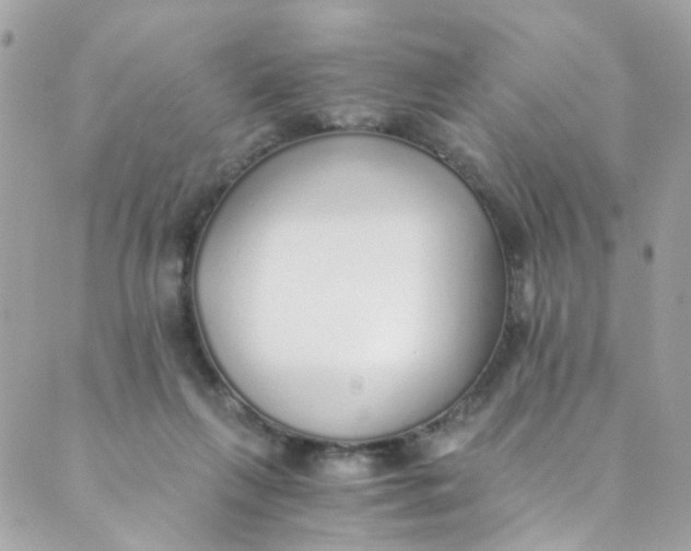 X0000088840263200706281829