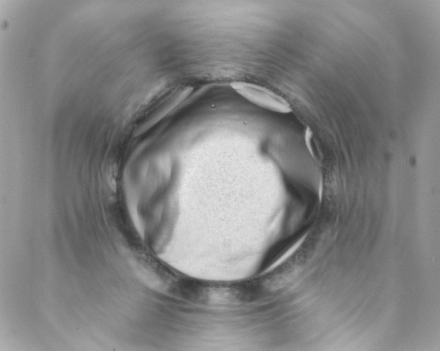 X0000088840264200706281829