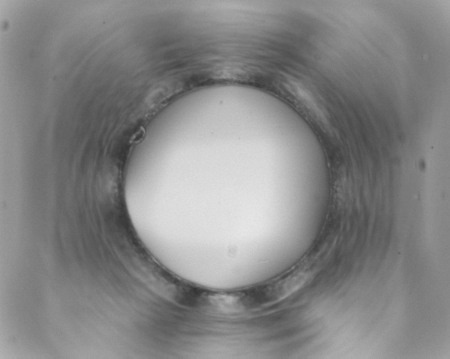 X0000088840265200706281829