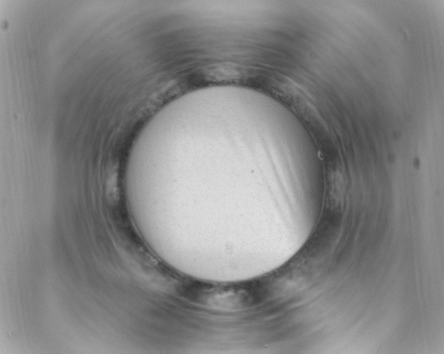 X0000088840267200706281829