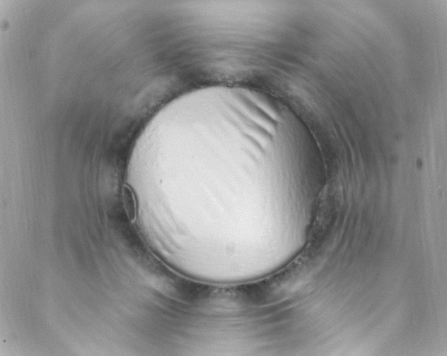 X0000088840268200706281829