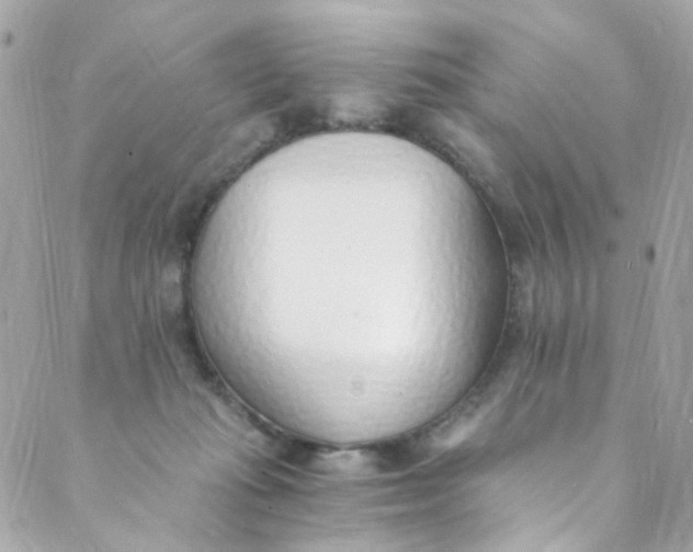 X0000088840269200706281829