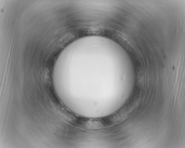 X0000088840270200706281829