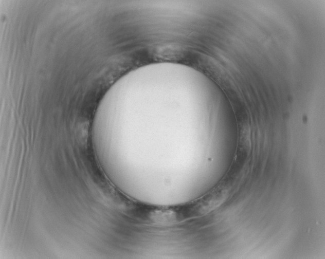 X0000088840271200706281829