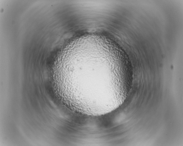 X0000088840272200706281829