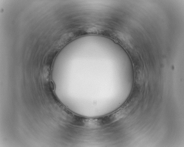 X0000088840273200706281829