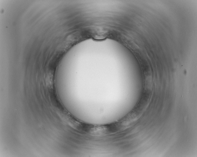 X0000088840274200706281829