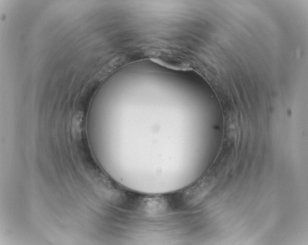 X0000088840275200706281829