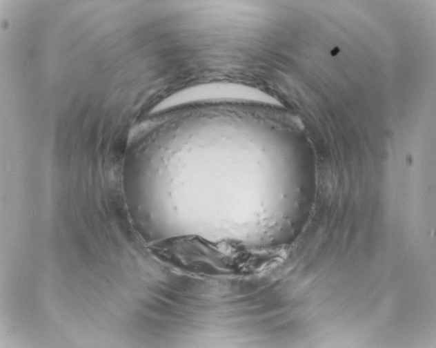 X0000088840276200706281829