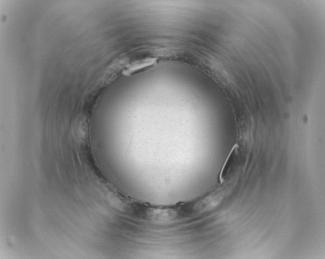 X0000088840277200706281829