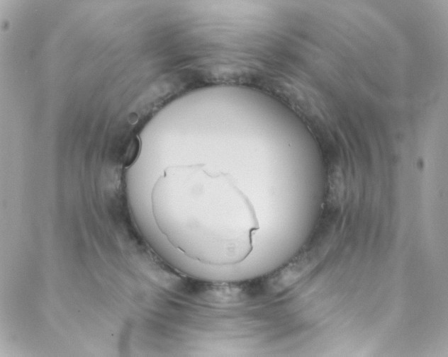 X0000088840278200706281829