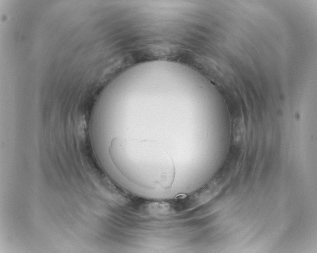 X0000088840279200706281829