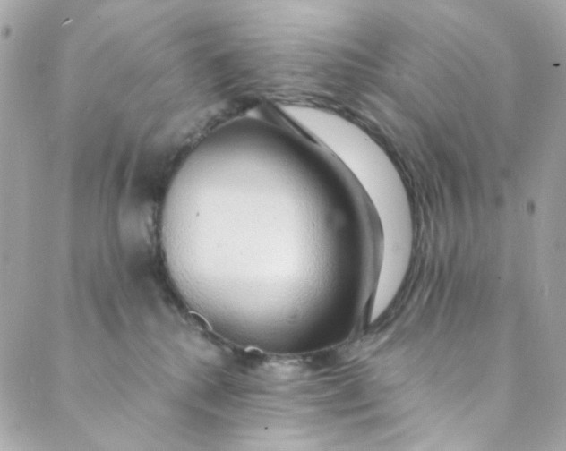 X0000088840280200706281829